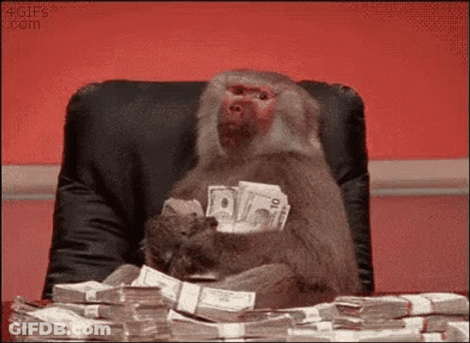 Big Money Monkey Big Smile GIF