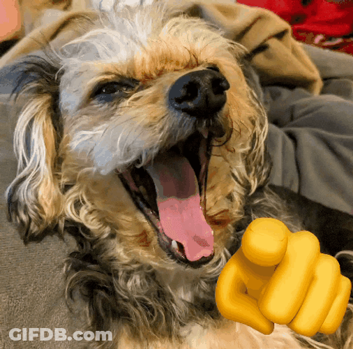 Big Mouth Dog Laughing GIF