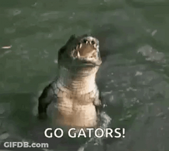 Big Mouth Gators GIF