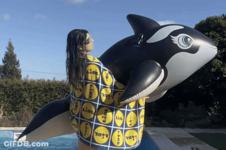 Big Orca Inflatable GIF
