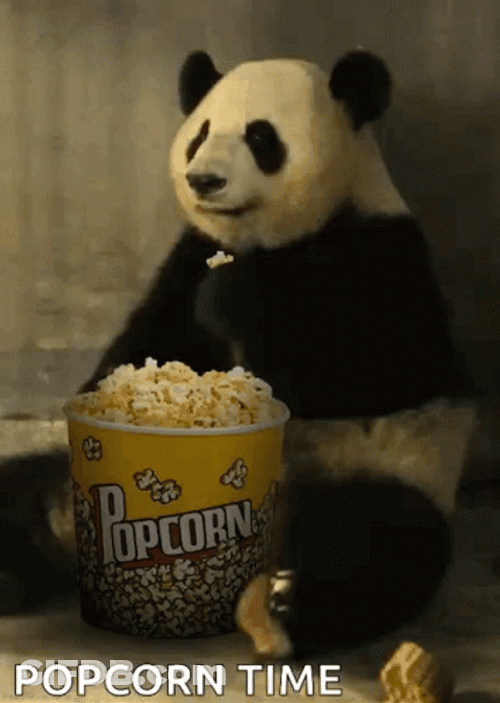 Big Panda Popcorn Eating GIF