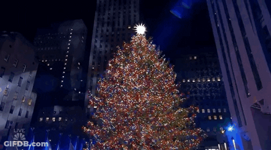 Big Tall Xmas Tree GIF