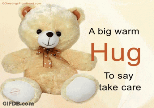 Big Warm Hug Teddy Bear Take Care GIF