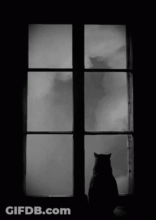 Big Window Fog GIF