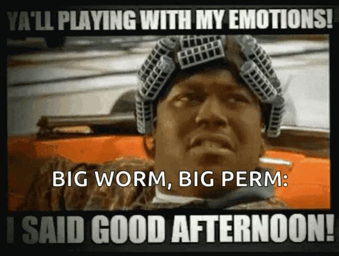 Big Worm Big Perm Meme GIF