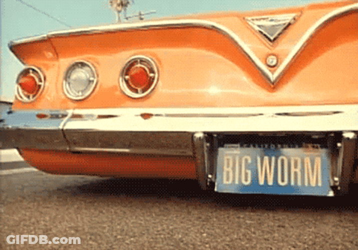 Big Worm Bouncing Sleek Car GIF
