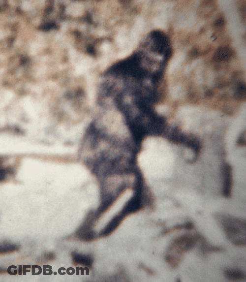 Bigfoot Boomerang Footage GIF