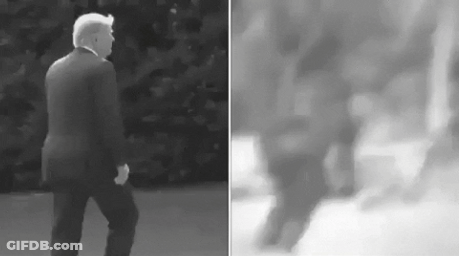 Bigfoot Comparison To Trump GIF