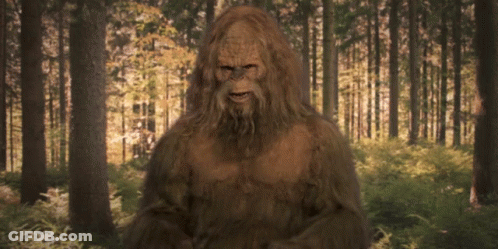 Bigfoot In Forest GIF