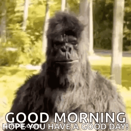 Bigfoot In Furry Costume Saying Good Morning GIF