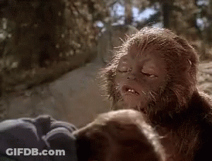 Bigfoot In Woods No! Oh No! GIF
