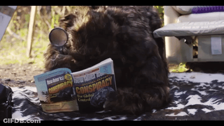 Bigfoot Reading Conspiracy Books GIF