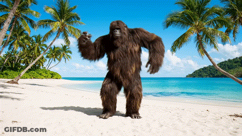 Bigfoot Standing On Beach With Palm Trees GIF
