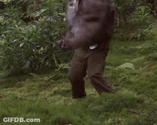 Bigfoot Vibing With Headphones GIF