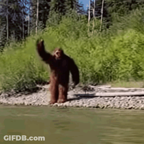 Bigfoot Waving In Water GIF
