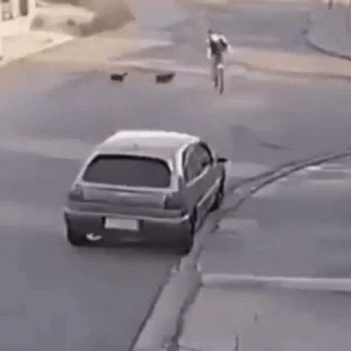 Bike Chased By Dogs Fails GIF