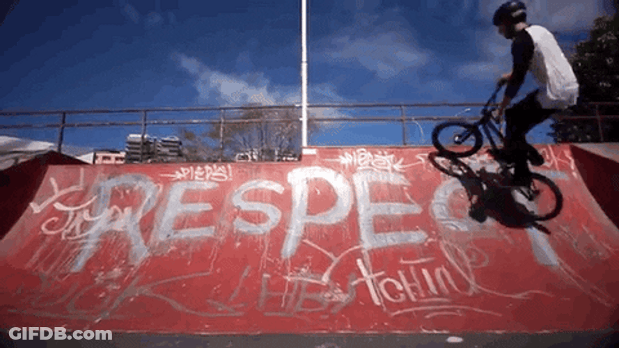 Bike Pause Trick Respect GIF