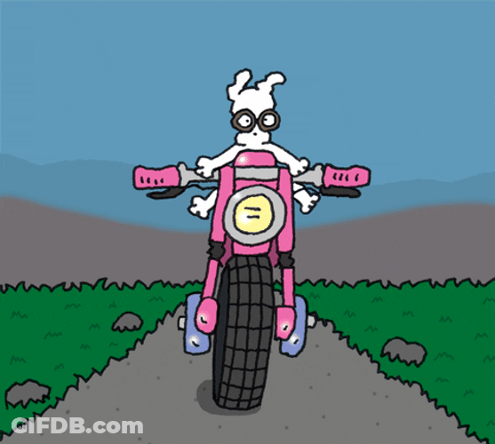 Biking Dog Enjoy Pink Motorcycle GIF