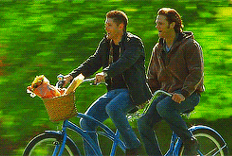 Biking Duo Enjoys Outdoor Ride GIF