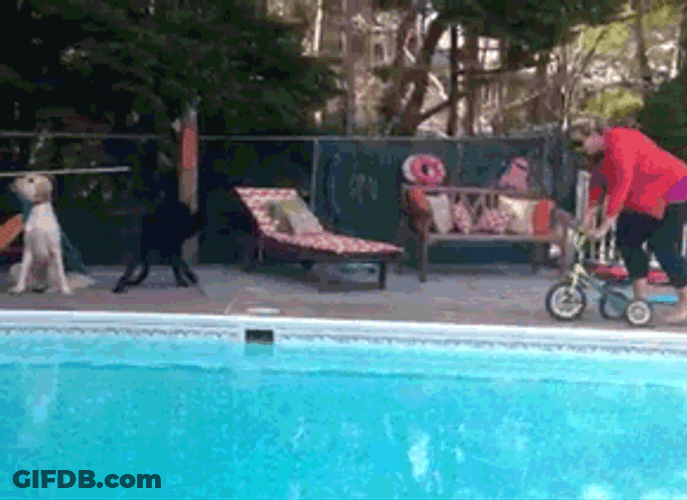 Biking Grandma Fall Into Pool GIF