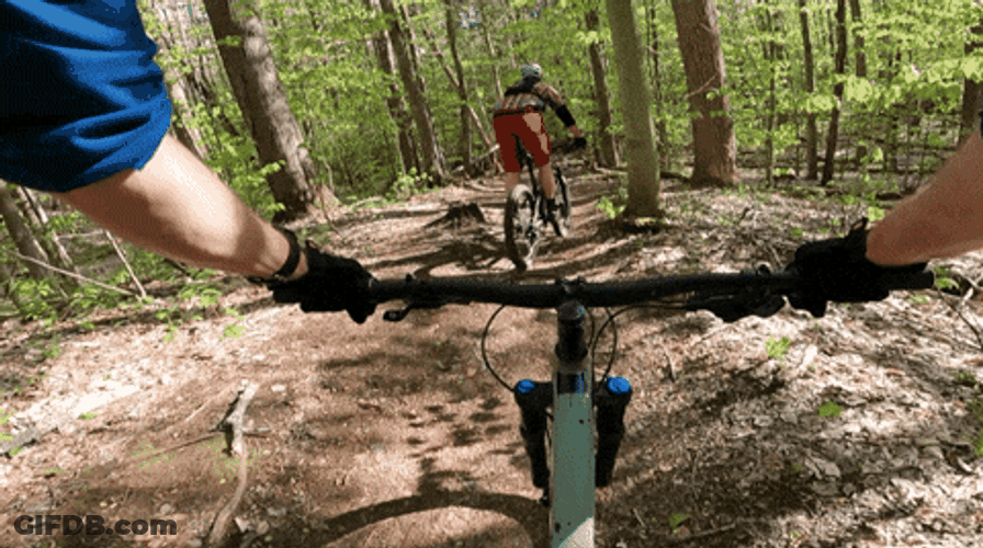 Biking On A Mountain Trail Ride GIF
