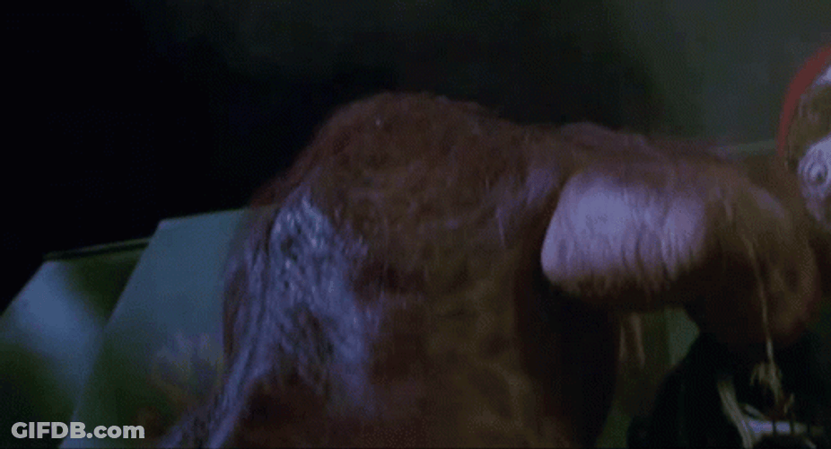 Bill And Ted GIF