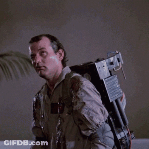 Bill Murray Funny Face Ghostbusters GIF