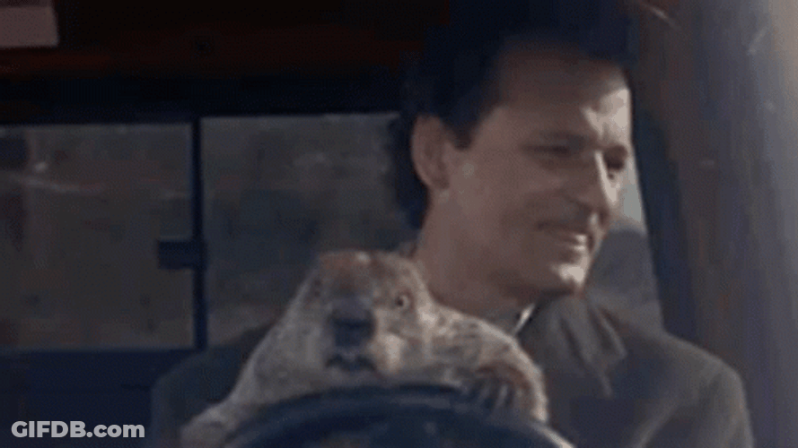 Bill Murray Holding A Groundhog GIF