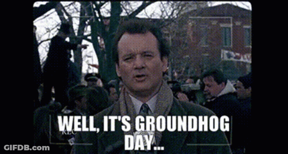 Bill Murray Well It's Groundhog Day GIF