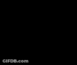 Bill Of Rights Copy Displayed GIF