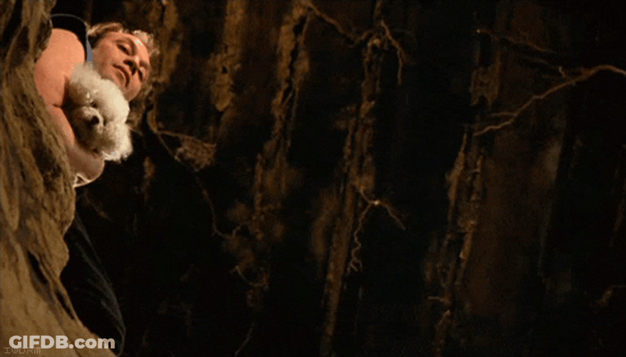 Bill With Dog Silence Of The Lambs GIF