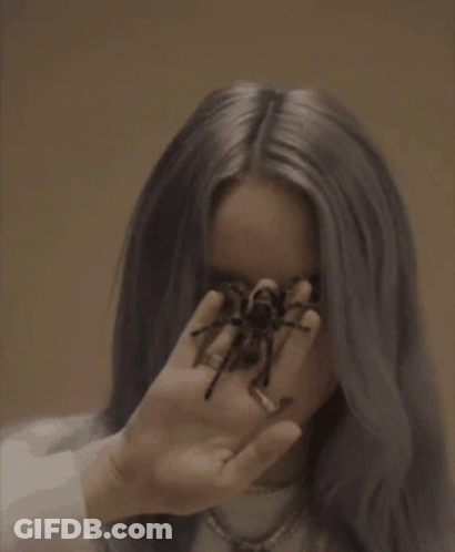Billie Eilish Holding Spider In Front Of Face GIF