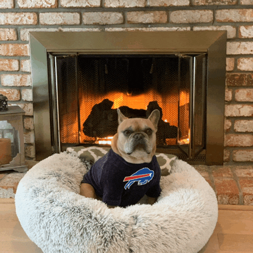 Bills Mafia Buffalo Bills Meme GIF