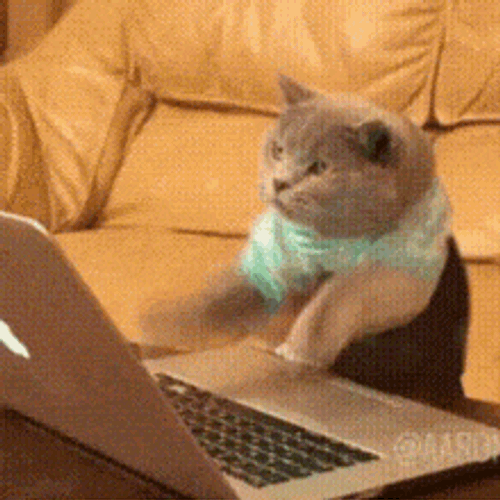 Bills Ugh GIF