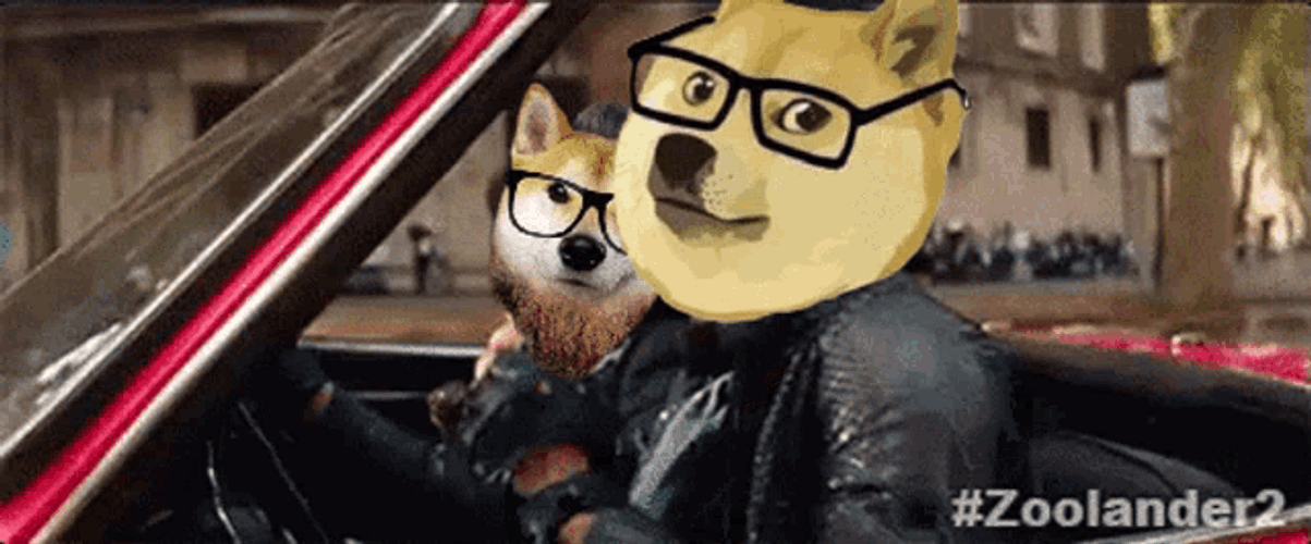 Billym2k Dogecoin GIF