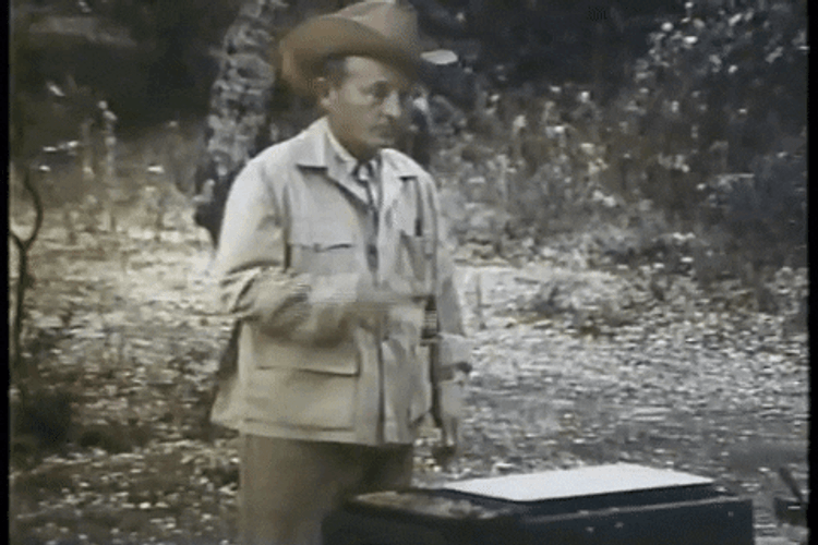 Bing Crosby Catching Pancakes GIF