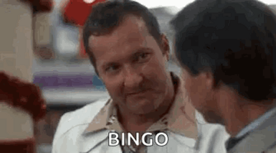 Bingo Clark Griswold Christmas Lights GIF