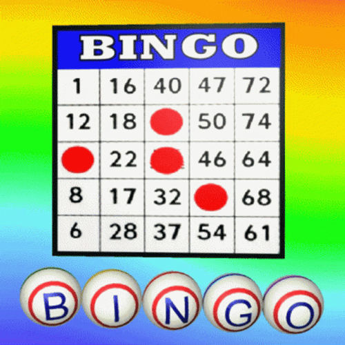 Bingo Raffle Thats A Bingo GIF