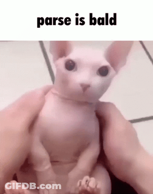 Bingus Genshin Impact Parse Is Bald GIF