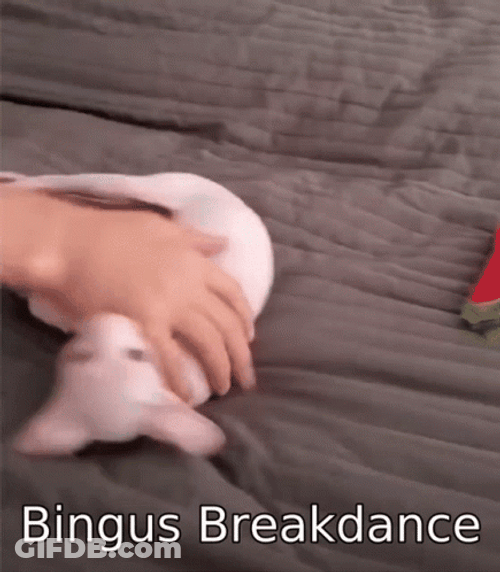 Bingus Sphynx Cat Breakdance GIF