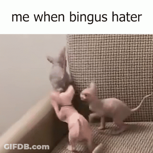 Bingus Sphynx Cat Hater GIF