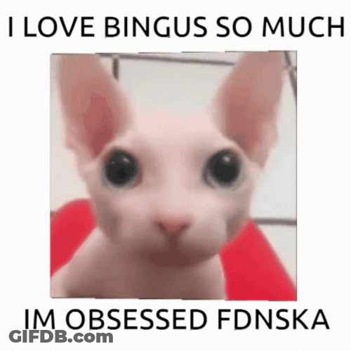 Bingus Sphynx Cat I'm Obsessed Rubik's Cube GIF