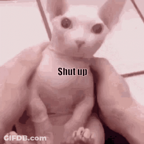 Bingus Sphynx Cat Shut Up GIF