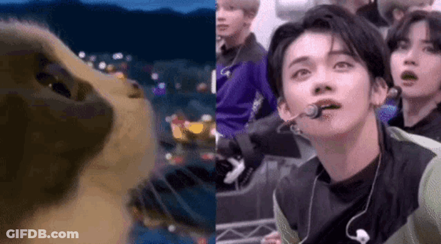 Binsoob Nyangjun GIF