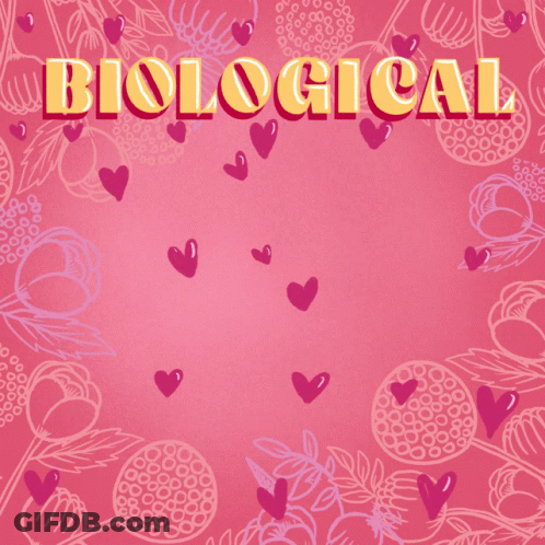 Biological Adoptive Foster Hearts GIF