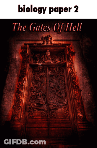 Biology Paper 2 The Gates Of Hell Burning Doorway GIF