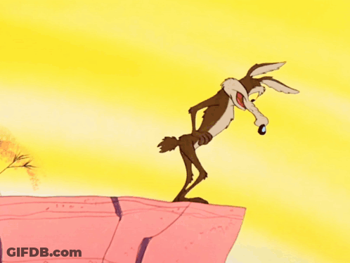 Bird And Coyote Running GIF