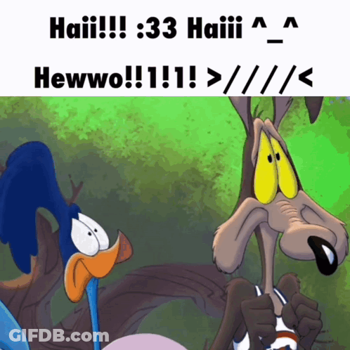 Bird And Coyote Saying Haii 3:33 Hewwo GIF
