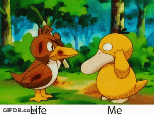 Bird And Duck Standing Together Saying Life Me GIF