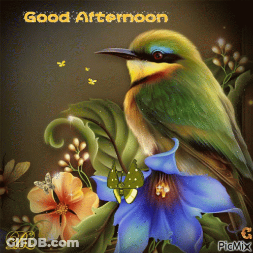 Bird And Flowers Good Afternoon GIF